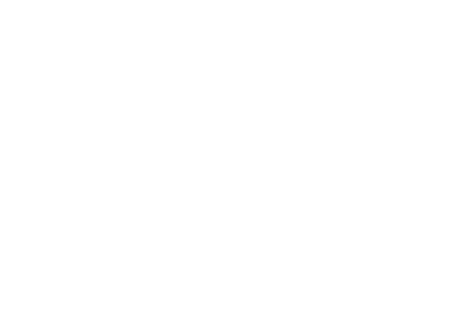 网站攻击工具